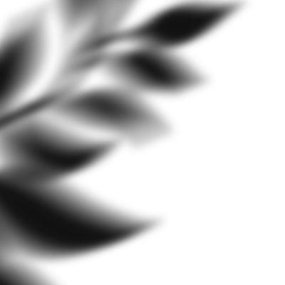 Scene 006